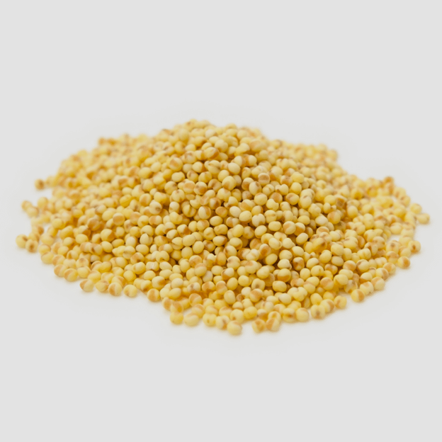 Foxtail Millet