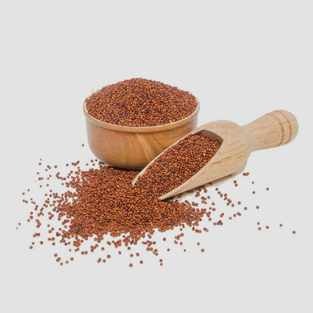 Finger Millet Ragi
