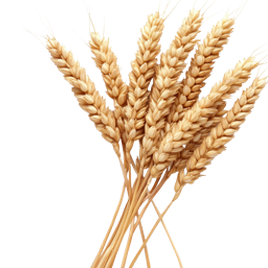 Whole Millets